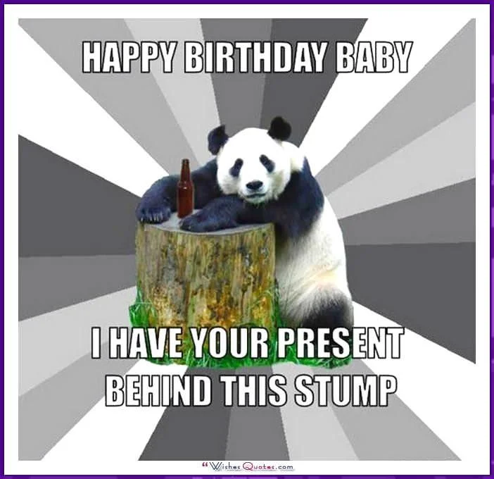 meme happy birthday — ảnh 17