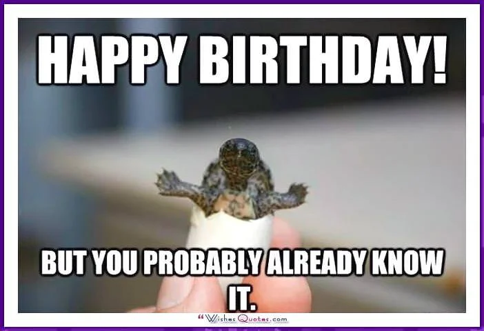 Mẫu meme happy birthday thứ 15