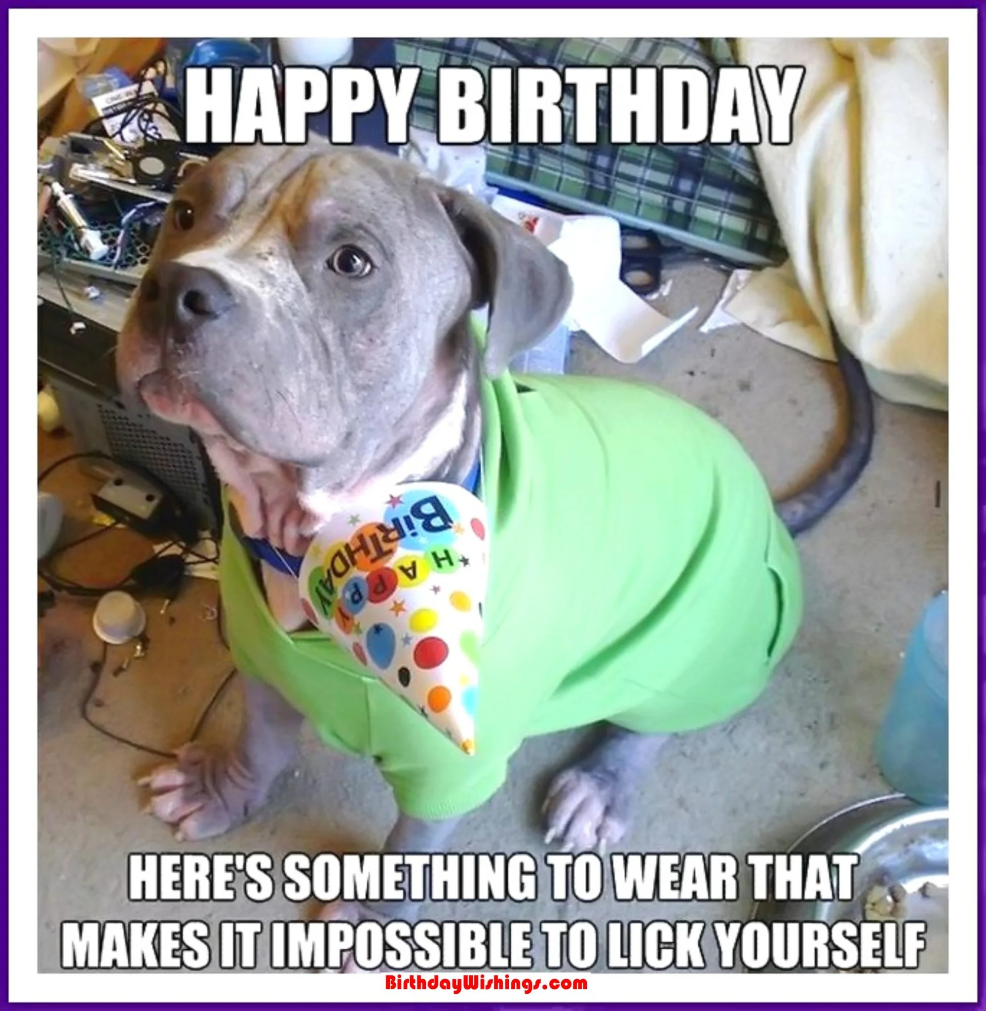 meme happy birthday: gợi ý số 14