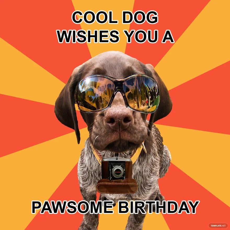 meme happy birthday — ảnh 9
