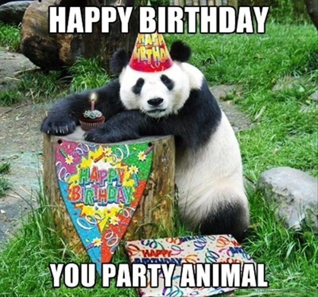 meme happy birthday, mẫu 3