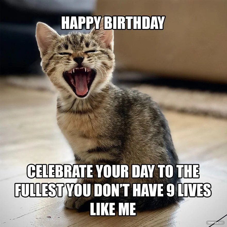 meme happy birthday — ảnh 1