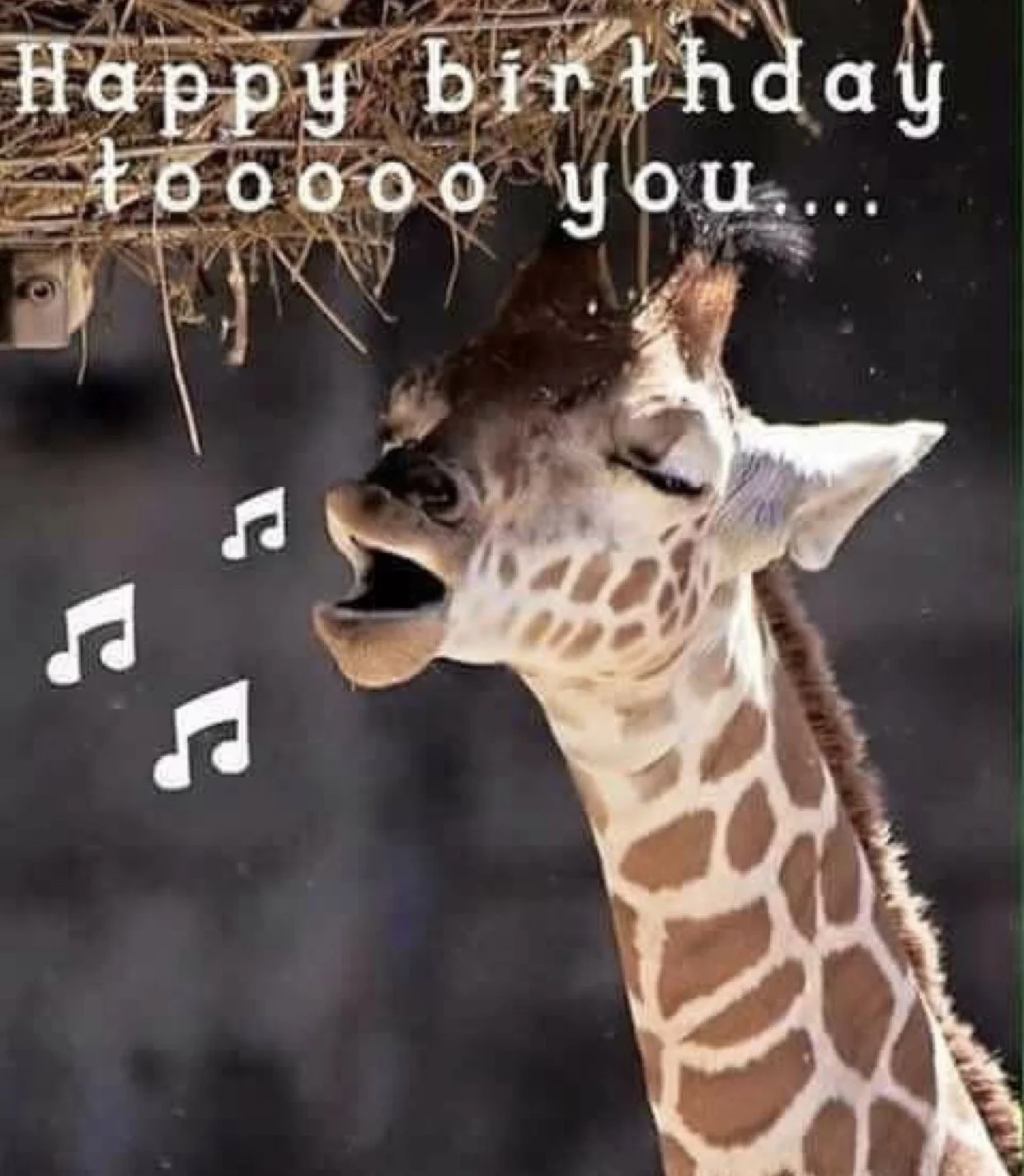 meme happy birthday, mẫu 19