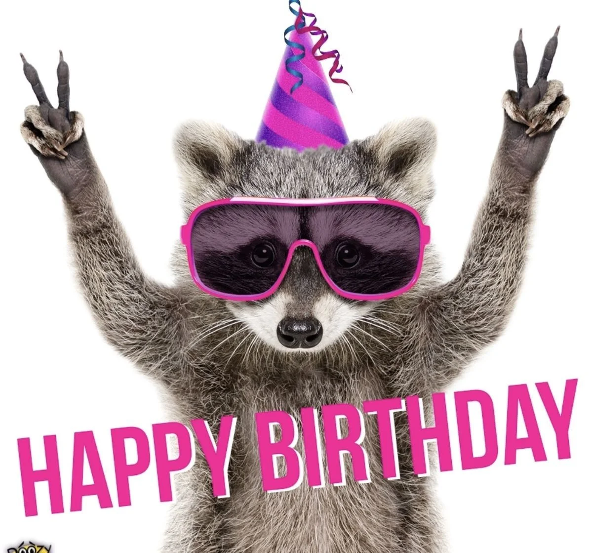 Bộ ảnh meme happy birthday, tấm 16