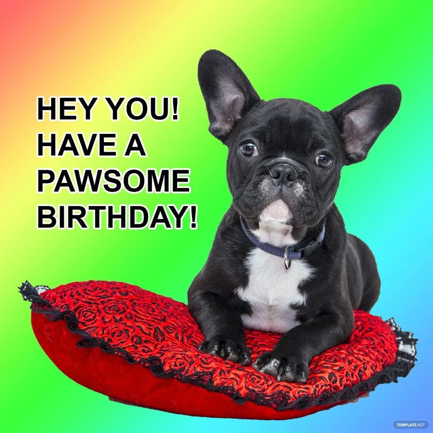 meme happy birthday, mẫu 11