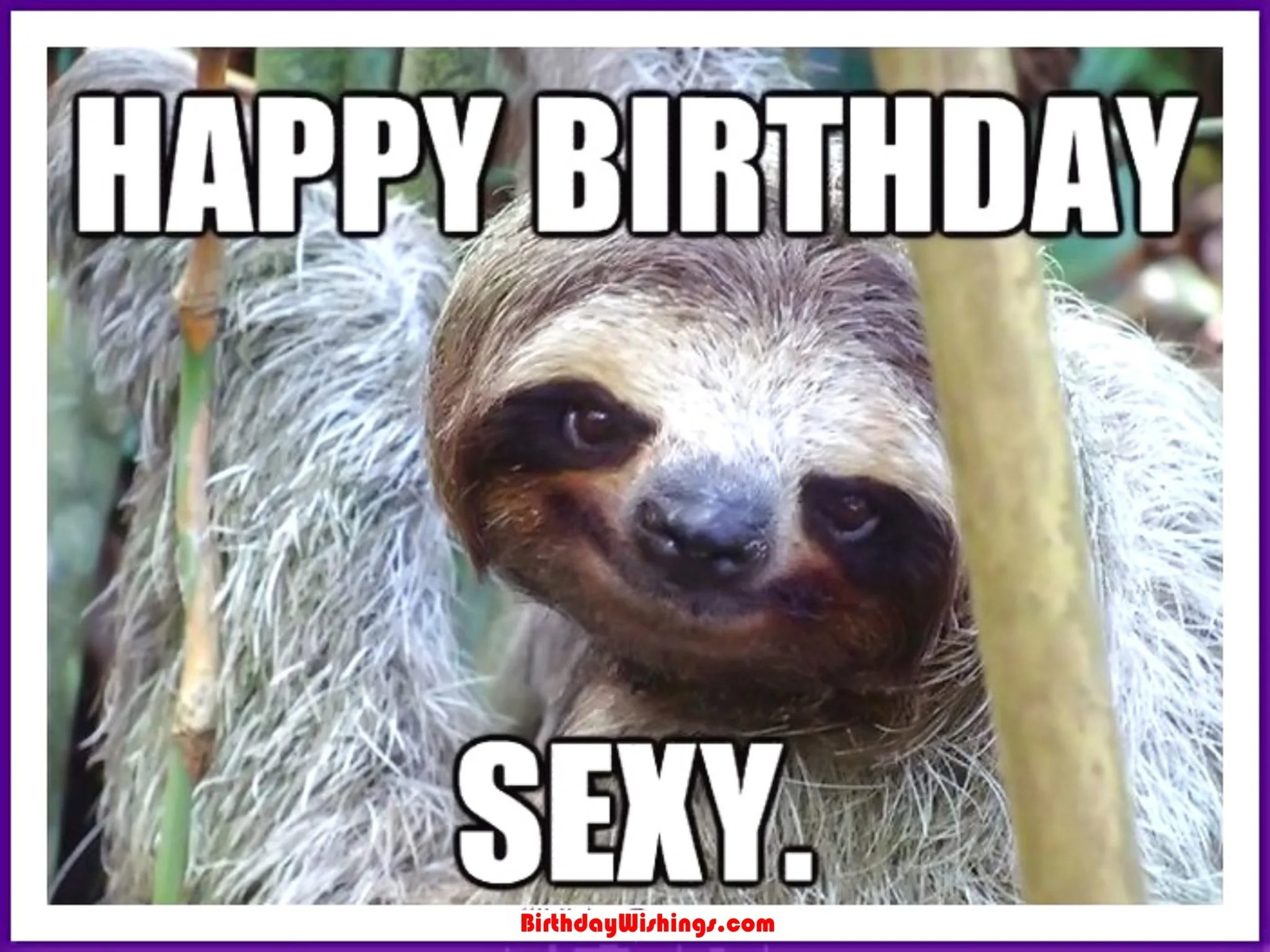 Hình 12 trong bộ sưu tập meme happy birthday