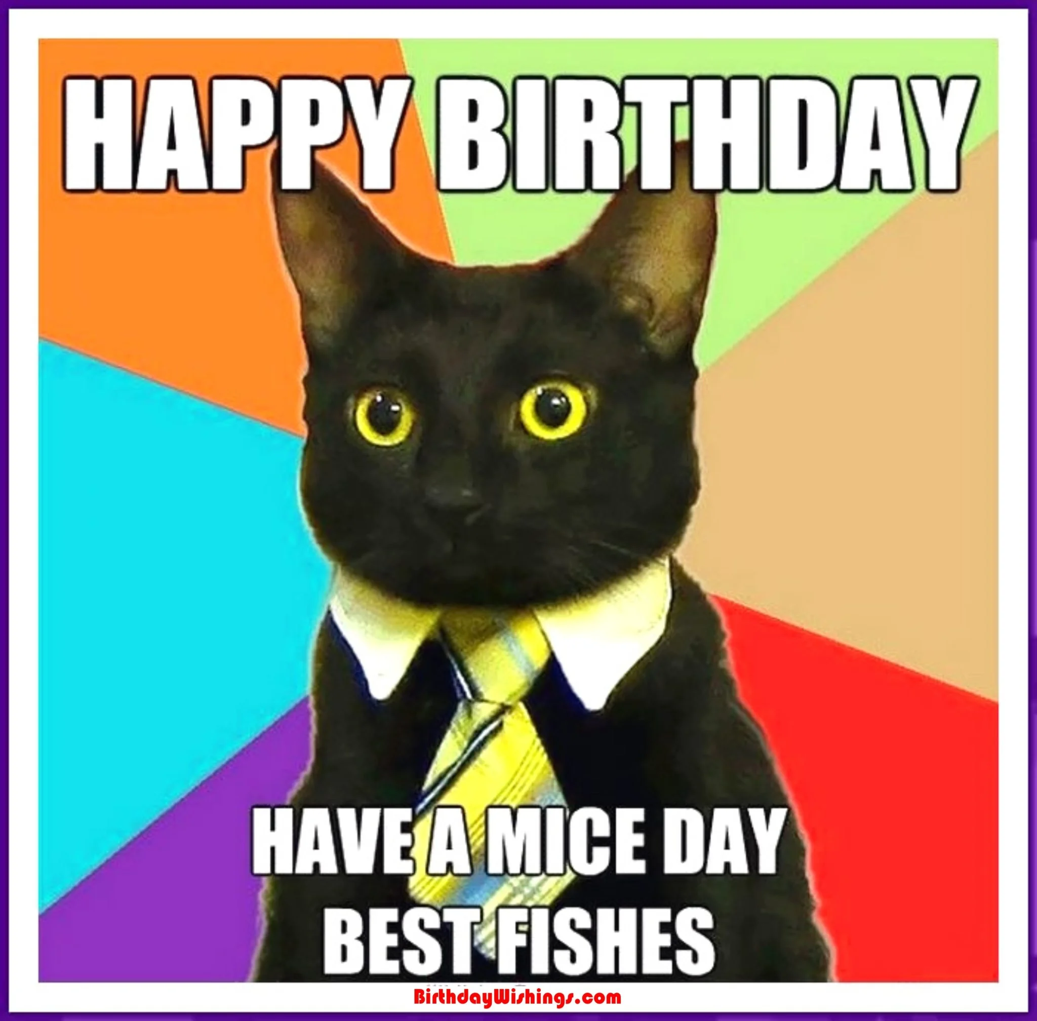 Ảnh 18 minh hoạ meme happy birthday