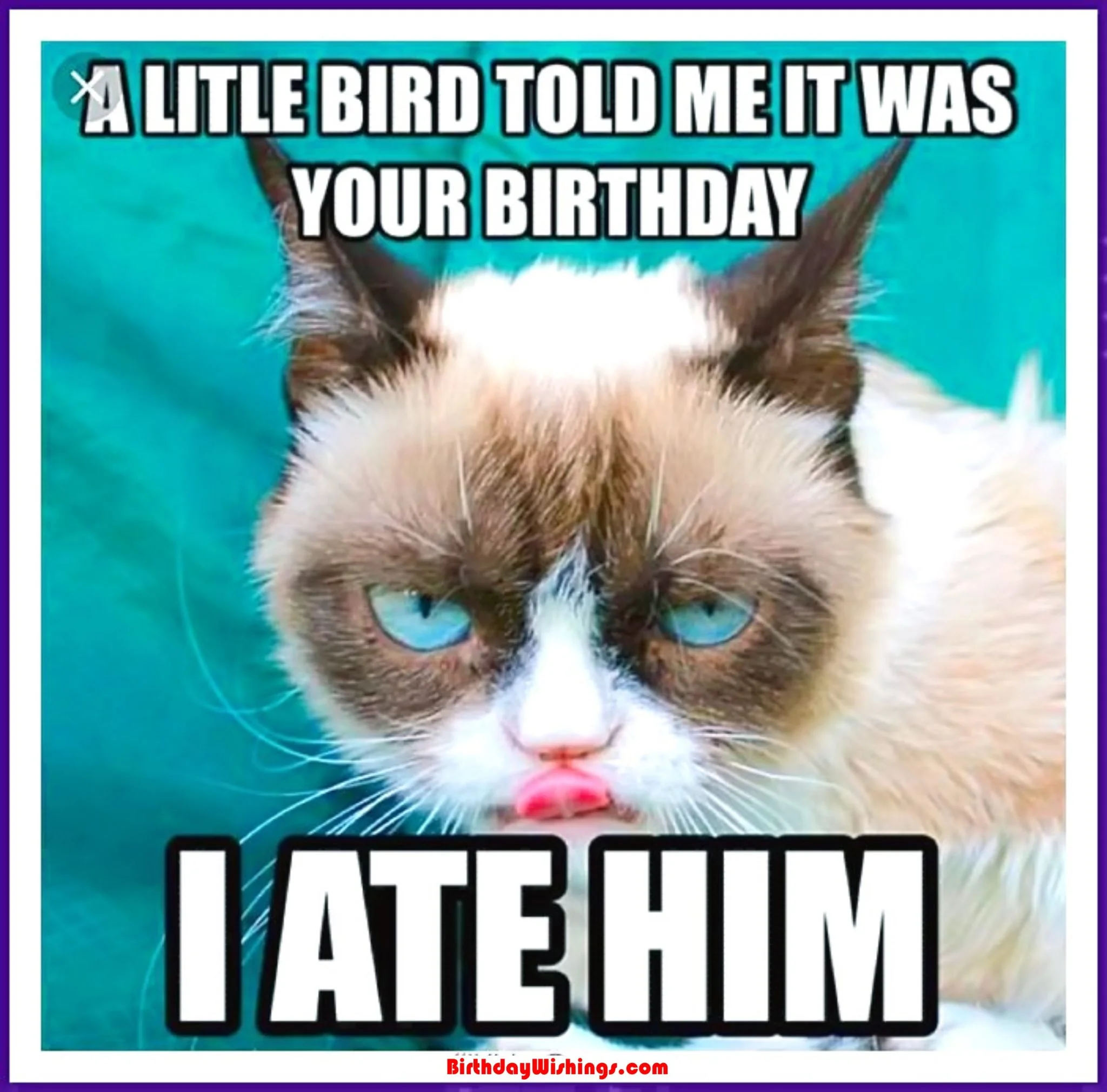 Bộ ảnh meme happy birthday, tấm 8