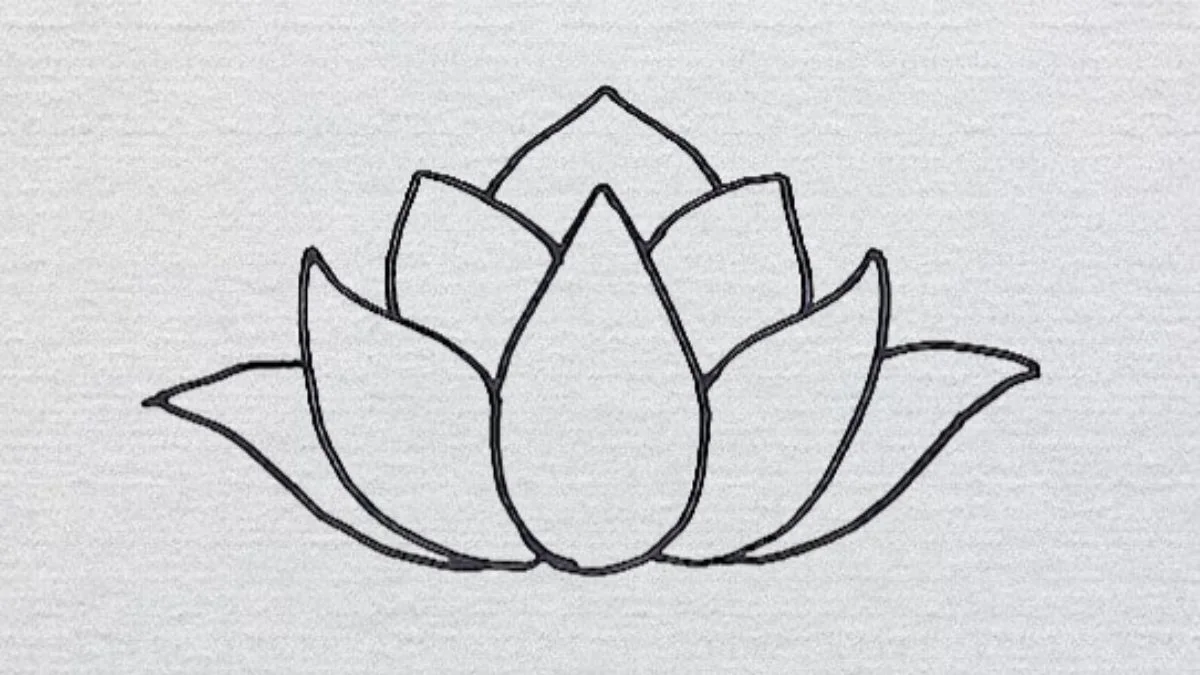 Cách vẽ hoa sen nhỏ nhắn - bước 2