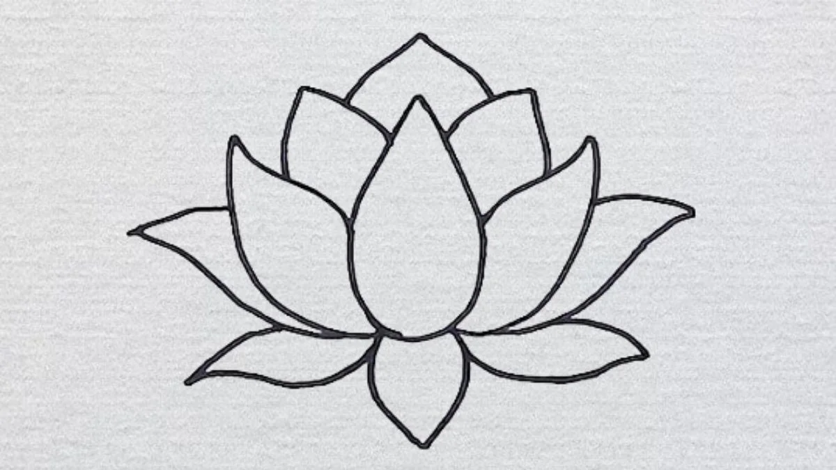 Cách vẽ hoa sen nhỏ nhắn - bước 3