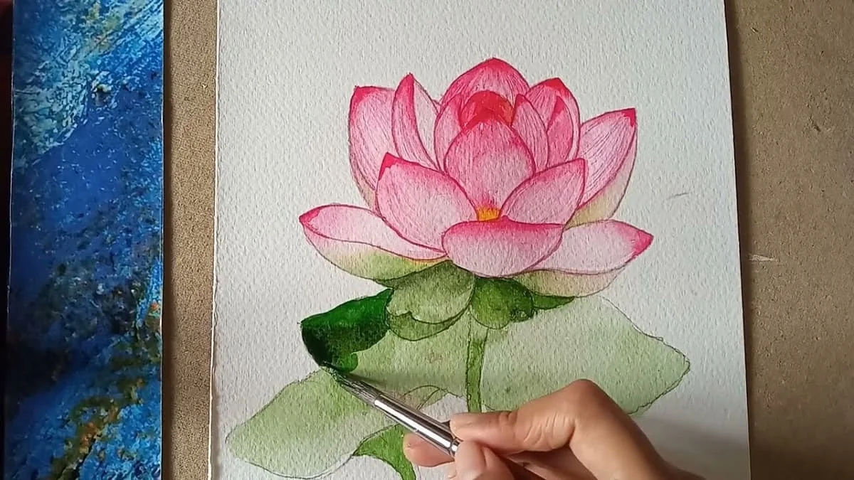 Vẽ hoa sen: 20 cách vẽ đẹp, đơn giản dễ thực hiện