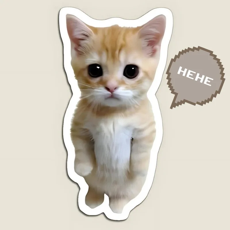 Ảnh meme mèo cười hehe