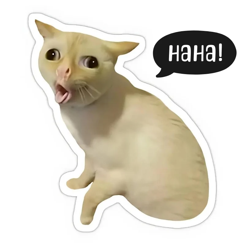 Ảnh meme mèo cười haha đẹp nhất