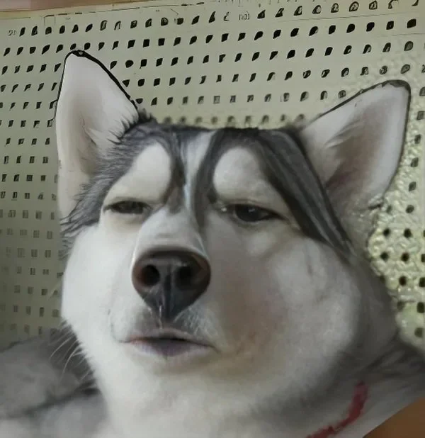 meme khinh bỉ 7