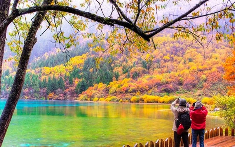 Tải hình ảnh Thiên nhiên, Phong cảnh đẹp nhất làm hình nền miễn phí
