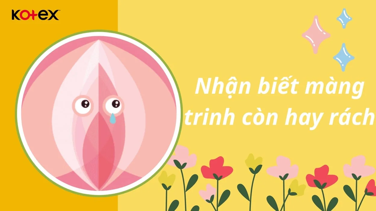 Cách Nhận Biết Màng Trinh Còn Hay Rách - Kotex
