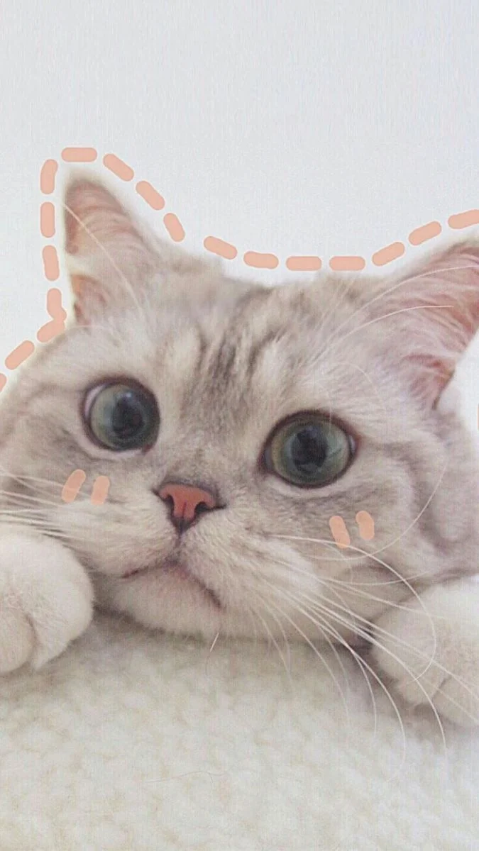 Hình nền cute (2)