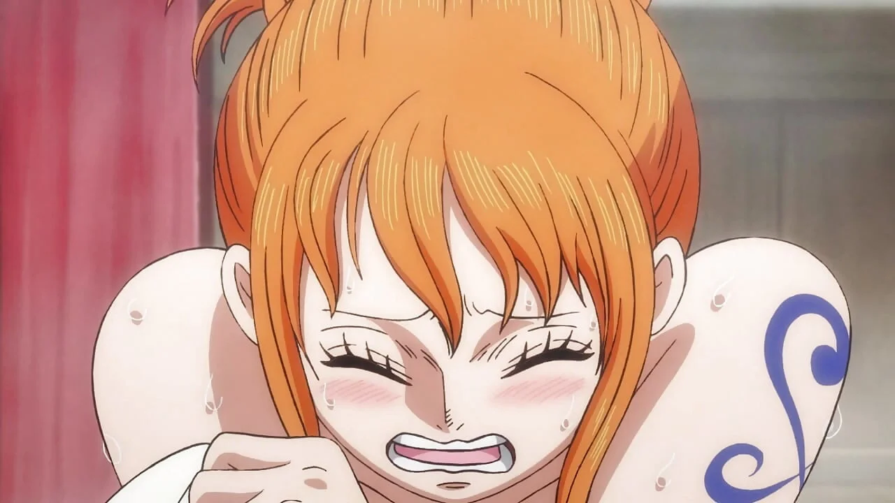 hentai one piece — ảnh 15