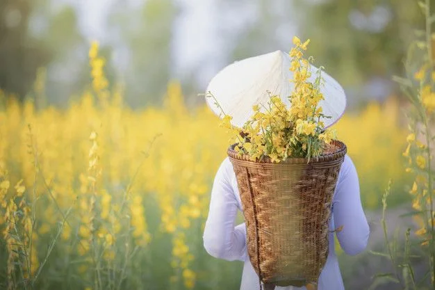 Người phụ nữ mặc áo dài đội nón lá giữa đồng hoa, kho ảnh đẹp Việt Nam