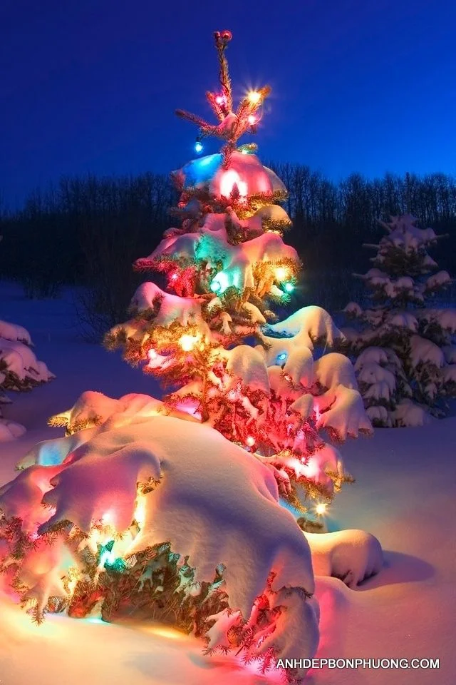 Những hình ảnh noel đẹp nhất, hình nền giáng sinh cho máy tính - Kho ảnh đẹp