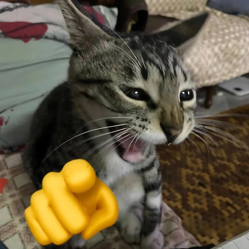 tải Ảnh meme mèo cười chỉ tay mới nhất