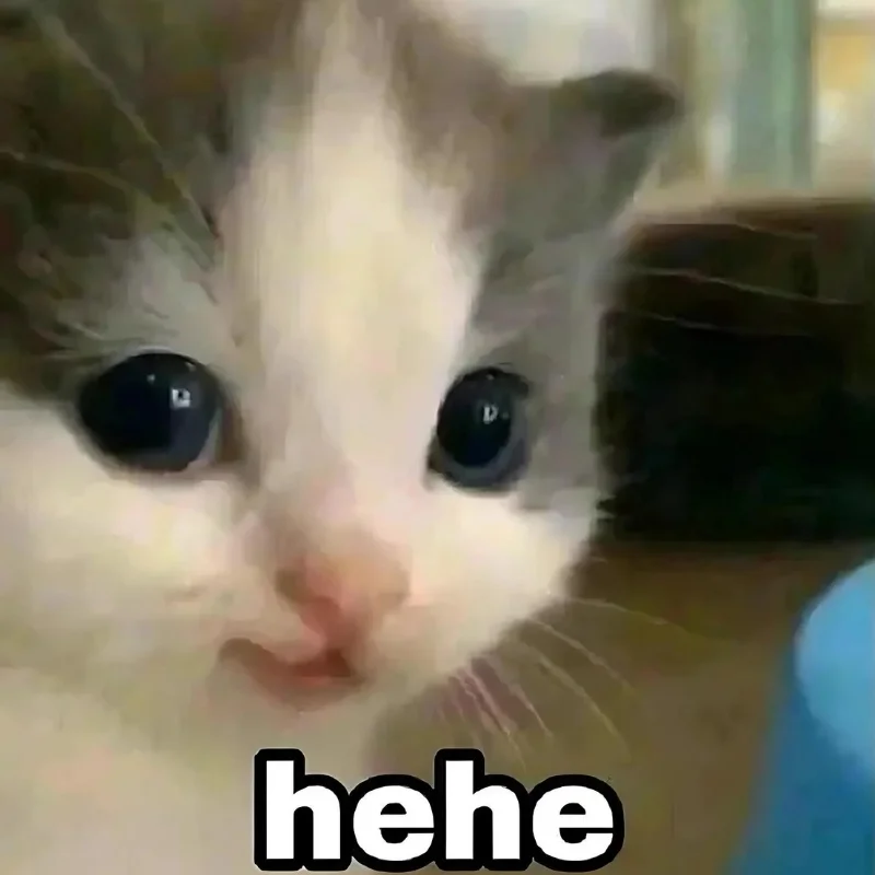 Meme mèo cười đểu hehe
