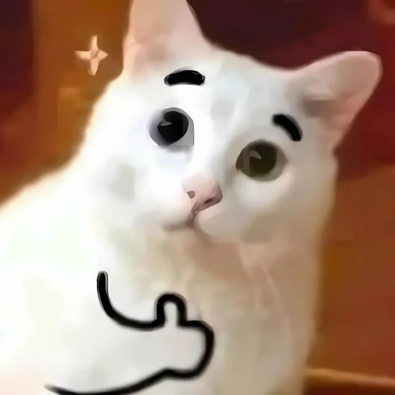 Ảnh meme mèo cười chỉ tay điểm chỉ